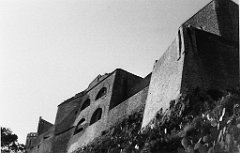 ORAN 02333